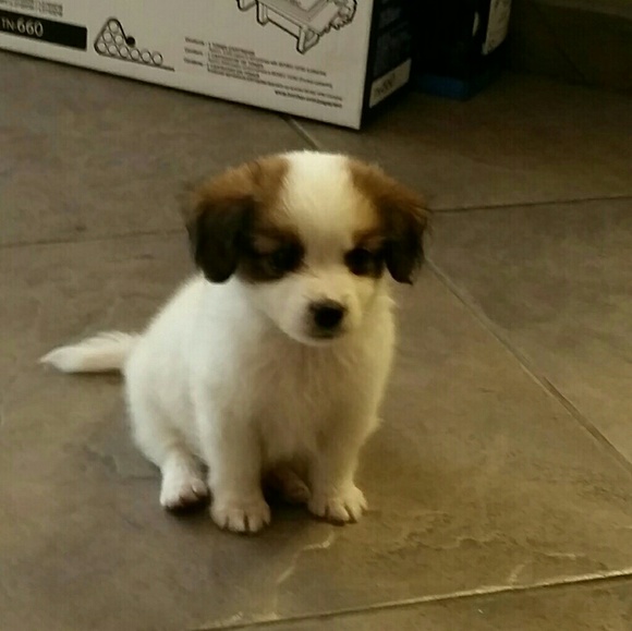 Meet your Posher, Margaret - Picture 1 of 1